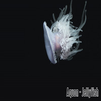 Aquon - Jellyfish