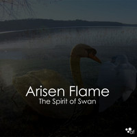 Arisen Flame - The Spirit of Swan