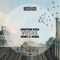 Jonathan Rosa - Viisns (Urmet K Remix)