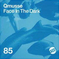 Qmusse - Face In The Dark