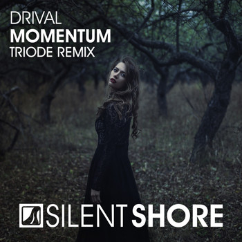 Drival - Momentum (Triode Remix)