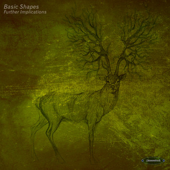 Basic Shapes - Further Implications