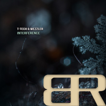 T-Tech, Wezzler - Consequences