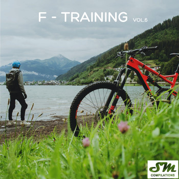Various Artists - F-Training, Vol. 6