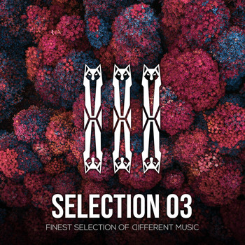Various Artists - SELECTION 03
