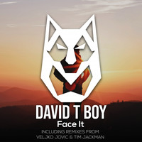 David T Boy - Face It