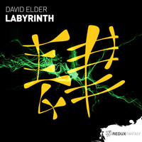 David Elder - Labyrinth