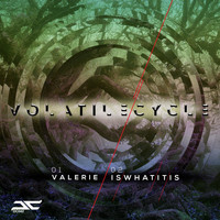 Volatile Cycle - Volatile Cycle