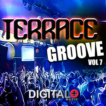 Various Artists - Terrace Groove, Vol. 7