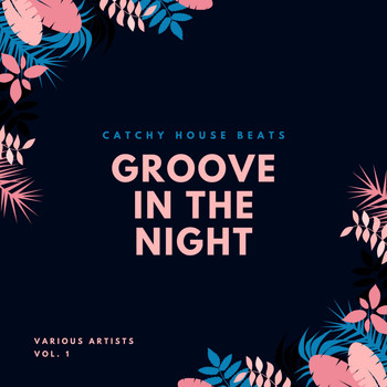 Various Artists - Groove In The Night (Catchy House Beats), Vol. 1