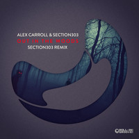 Section303 & Alex Carroll - Out In The Woods (Section303 Remix)