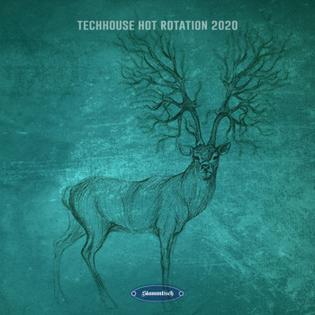 Various Artists - Techhouse Hot Rotation 2020