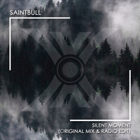 Saintbull - Silent Moment