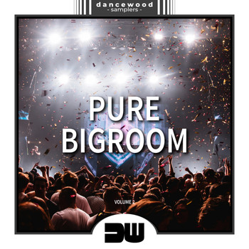 Various Artists - Pure Bigroom, Vol. 2