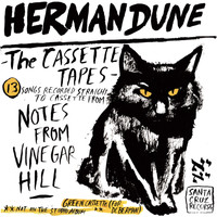 Herman Dune - The Cassette Tapes from Vinegar Hill