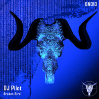 DJ Pilot - Broken Bird