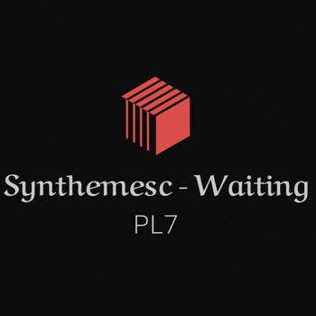 Synthemesc - Waiting