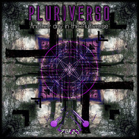 Pluriverso - Another Day In The Multiverse