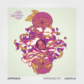 AMPRS&ND - Experience B17