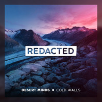 Desert Minds - Cold Walls