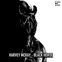 Harvey McKay - Black Horse