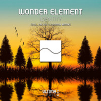 Wonder Element - Identity