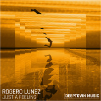 Rogero Lunez - Just A Feeling