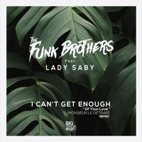 The Funk Brothers - I Can't Get Enough Of Your Love (Monsieur Le Détraké Remix)