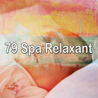 Ocean Sound - 79 Spa Relaxant