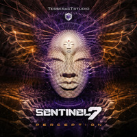 Sentinel 7 - Perception