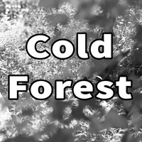 Andy B - Cold Forest