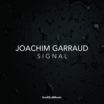 Joachim Garraud - Signal