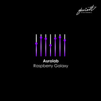 Aurolab - Raspberry Galaxy