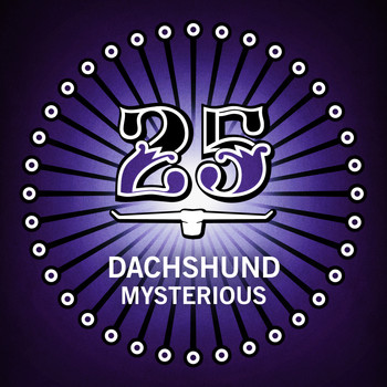 Dachshund - Mysterious