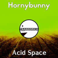 Hornybunny - Acid Space