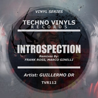 Guillermo DR - Introspection