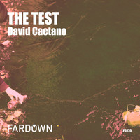 David Caetano - The Test