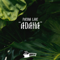 Pasha Like - Adana