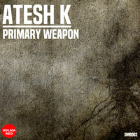 Atesh K. - Primary Weapon