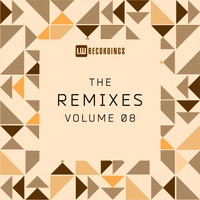 Various Artists - The Remixes, Vol. 08 (Explicit)