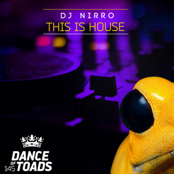 DJ Nirro - This Is House