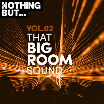Various Artists - Nothing But... That Big Room Sound, Vol. 02