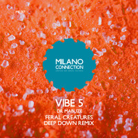 Dr Mabuze - Vibe 5 (Feral Creatures Deep Down Remix)