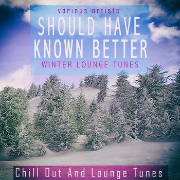 Various Artists - Should Have Known Better - Winter Lounge Tunes