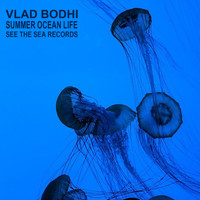 Vlad Bodhi - Summer Ocean Life