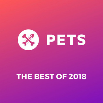 Various Artists - Pets Recordings Best of 2018