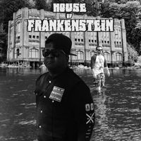House of Frankenstein - The Themes