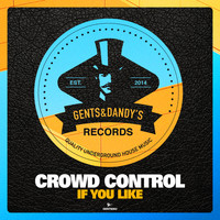 Crowd Control - If You Like (Explicit)