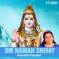 Anuradha Paudwal - Om Namah Shivay