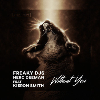 Freaky Djs, Herc Deeman, Kieron Smith - Without You